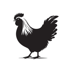 Chicken Silhouette Vector Illustration White Background