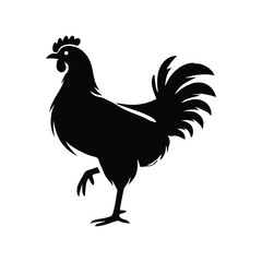 Chicken Silhouette Vector Illustration White Background. cockerel, rooster, a feathered and domestic animal. Rooster black silhouette vector on a white background