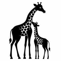 giraffe isolated on white