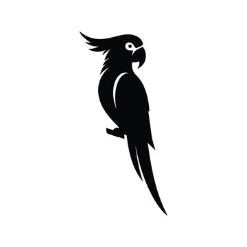 Parrot bird silhouette vector illustration on white background.