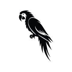 Parrot bird silhouette vector illustration on white background.
