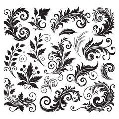 Obraz premium Flower design elements silhouette