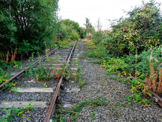 Disused overgrown old railway lines
