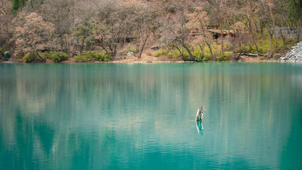 A wooden timber in turquoise colorful clearly crystal lagoon at the Jiuzhaigou valley, the most famous natural place of UNESCO heritage site in  Chengdu - China.