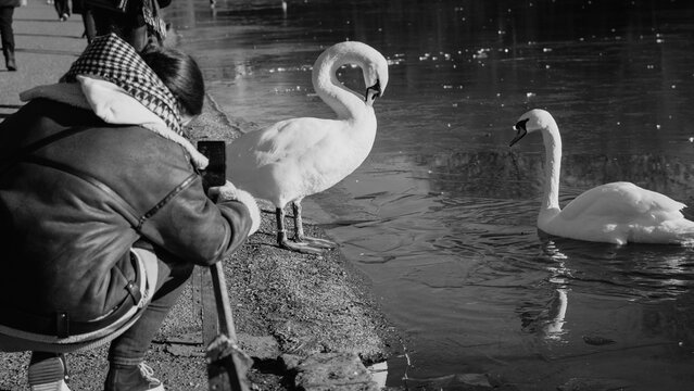 London: Incredible black and white details of the capital of England, the largest and main city in the United Kingdom. - Powered by Adobe