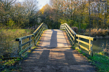 Walking path with a wooden bridge in a forest in the Netherlands during autumn.