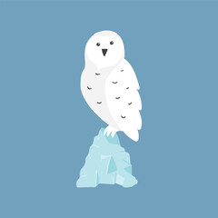 Cute Cartoon polar owl. Arctic, Polar animal. Creature image icon. Vector Illustration.