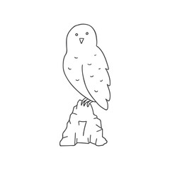 Cute Cartoon polar owl. Arctic, Polar animal. Creature image outline doodle icon. Vector Illustration.