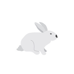 Fototapeta premium Cute Cartoon polar Hare. Arctic, Polar animal. Creature image icon. Vector Illustration.