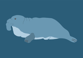 Cute Cartoon Sea Elephant seal. Arctic, Polar sea animal. Creature image icon. Vector Illustration.