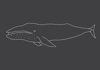 Cute Cartoon Humpback Whale. Arctic, Polar sea animal. Creature image outline doodle icon. Vector Illustration.