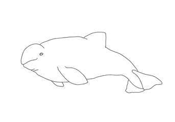 Cute Cartoon Beluga Whale. Arctic, Polar sea animal. Creature image outline doodle icon. Vector Illustration.