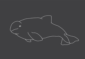 Cute Cartoon Beluga Whale. Arctic, Polar sea animal. Creature image outline doodle icon. Vector Illustration.