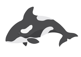 Cute Cartoon Killer Whale. Arctic, Polar sea animal. Orca image icon. Vector Illustration.