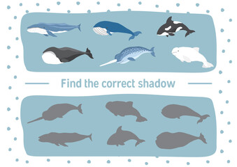 Fototapeta premium Matching game for children with cute cartoon polar sea animals, Logical activities for kids, Count the number of animals. Vector illustration.