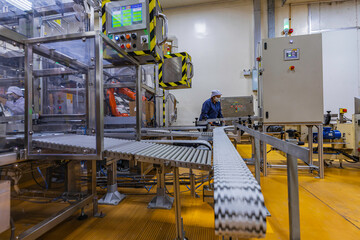 Female workers control conveyor belt line cardboard boxes on in the warehouse packing