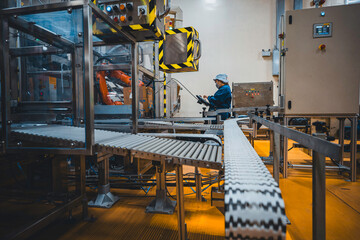 Female workers control conveyor belt line cardboard boxes on in the warehouse packing