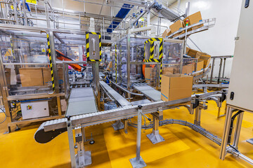 Cardboard boxes on a conveyor belt in the warehouse packing