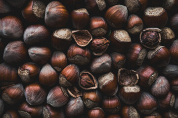 Close-Up of Fresh Hazelnuts in Natural Brown Tones for Autumn Themes