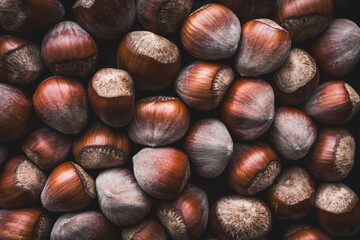 Fresh Hazelnuts with Textured Shells Captured in Warm Autumn Tones