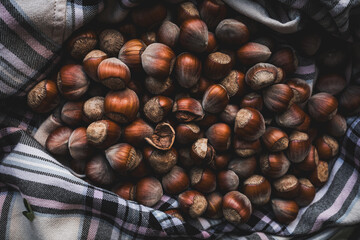 Hazelnuts on a Rustic Scottish Tartan Background for Autumn Still Life
