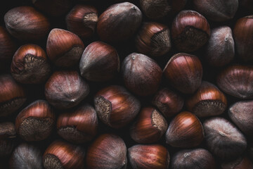Fresh Hazelnuts with Textured Shells Captured in Warm Autumn Tones