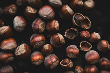 Fresh Hazelnuts with Textured Shells Captured in Warm Autumn Tones