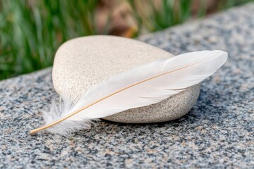 Always loved and remembered. A delicate white feather resting on a smooth stone surface.