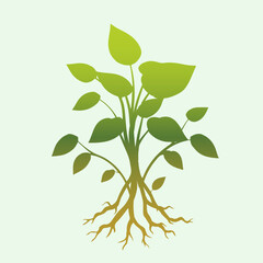 Green Plant Silhouette with Roots on Light Background Illustration