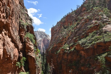 Hiking in the stunning scenery and valleys of Zion National Park, Utah