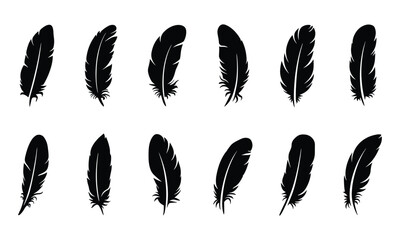 set of feather © Sagar1738
