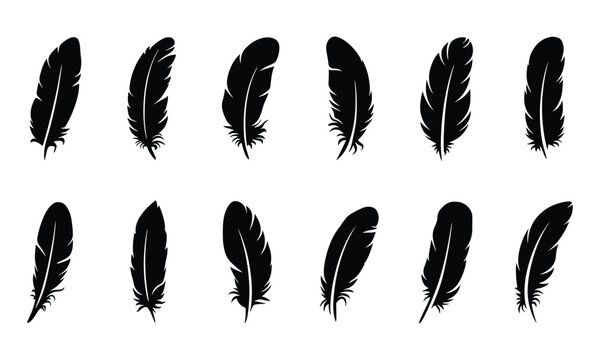 Fototapeta set of feather