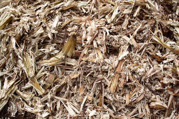 Sugar cane waste closeup