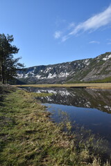 Fototapeta premium Stunning landscapes with old pine forests, rivers, valleys and waterfalls in Yellowstone National Park in Wyoming and Montana