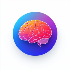 Colorful Brain Anatomy Illustration
