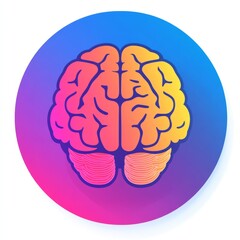 Colorful Brain Illustration - Anatomy Graphic