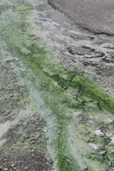 Geothermal volcanic activity around the hot springs and geysers of Yellowstone National Park