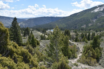 Stunning landscapes with old pine forests, rivers, valleys and waterfalls in Yellowstone National Park in Wyoming and Montana