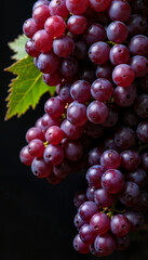 Fototapeta premium Close-up of fresh grapes with lush green leaves on black background