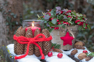 Weihnachts-Arrangement mit Windlicht aus Zapfen und Scheinbeere im Topf im Wintergarten