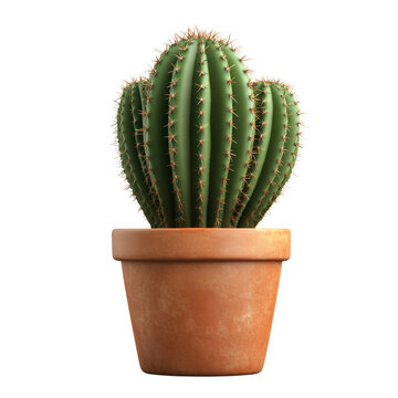 a green cactus in a terracotta pot 3d render icon isolated on transparent background cutout