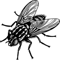 Obraz premium animal icon