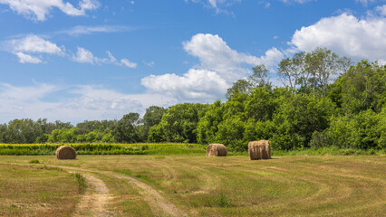 Hay bales in a Saskatchewan field.