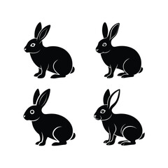 illustration of a rabbit