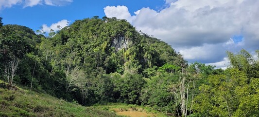 Naturaleza: caliza y mármol, rocas en vía de extinción  