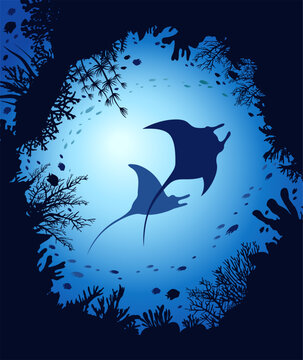 Silhouette of two mantas, coral reef and school of fish on a blue sea. Vector illustration with underwater nature. Flora and fauna of ocean.
