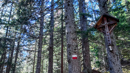 A serene forest trail with a wooden crucifix and hiking marker, symbolizing spiritual reflection and exploration in nature