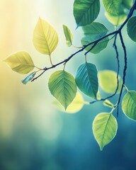 A close-up of green leaves on a branch, illuminated by soft light, creating a serene atmosphere.