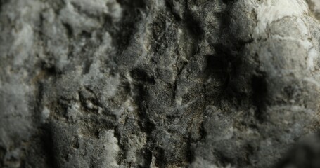 Close-up of Rough Gray Rock Surface