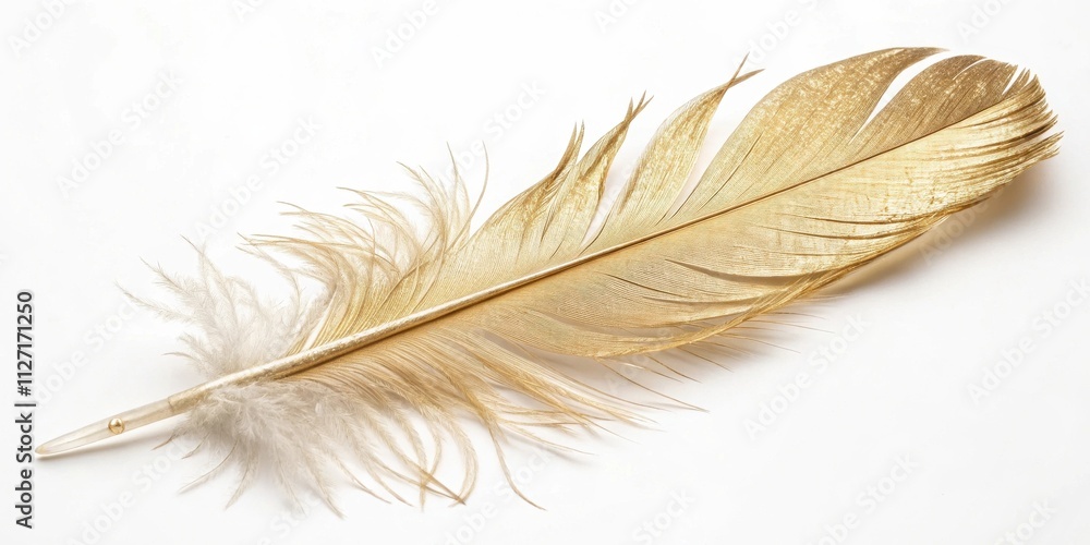 Poster a single golden feather rests on a white background, its delicate texture and shimmering surface ref